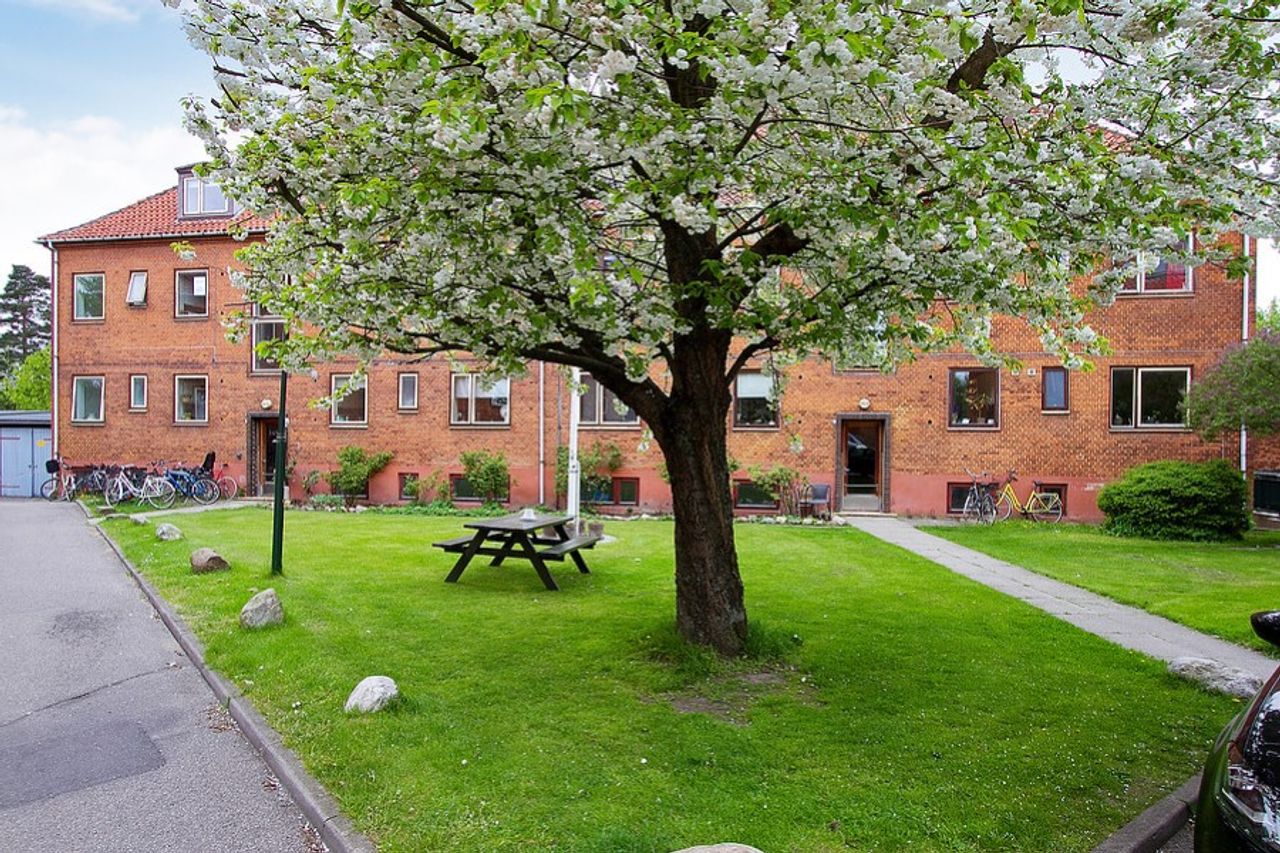 image 01